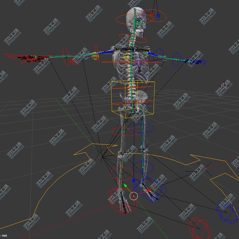 images/goods_img/20210113/3D BLENDER Rigged Male and Female Anatomy V07/5.jpg
